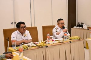 Bupati Banggai dan Komisi XII DPR RI Pimpin Rapat Koordinasi Energi Jelang Natal 2025 dan Tahun Baru 2026